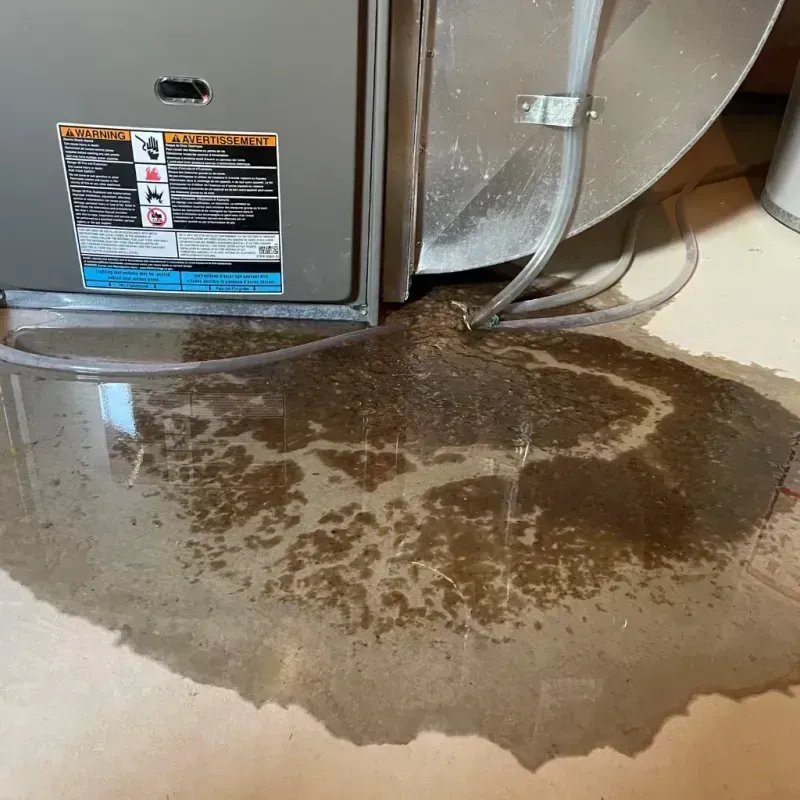 Appliance Leak Cleanup in Talladega County, AL